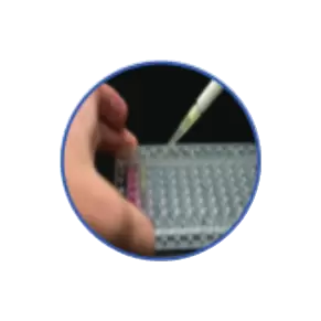 Viability Reagent Addition