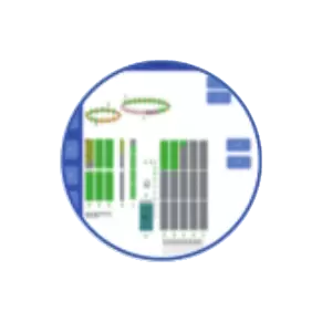 Automated Data Analysis